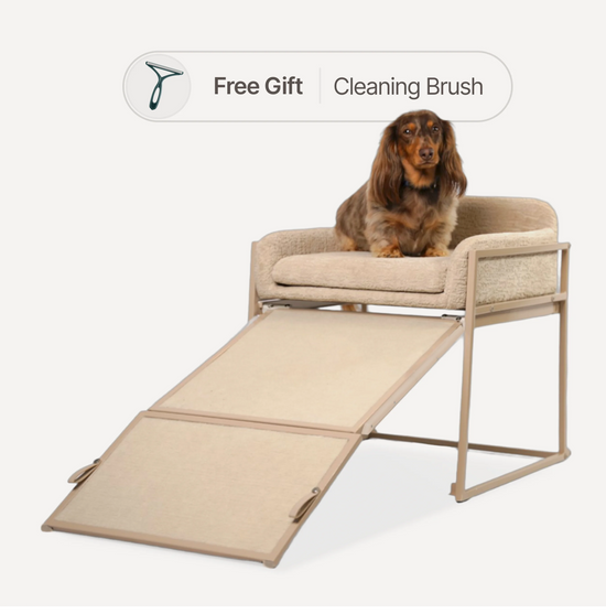 Pet Office Chair Companion - Cozy Elevated Bed for Your Furry Friend 🐾